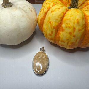 Fossil Coral 925 Silver Plated Pendant 2"